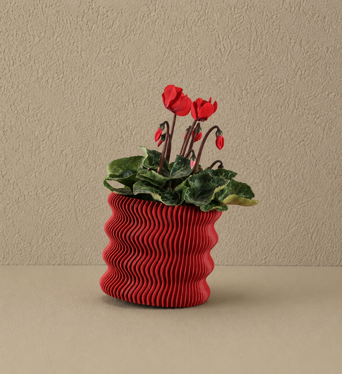 Decoración